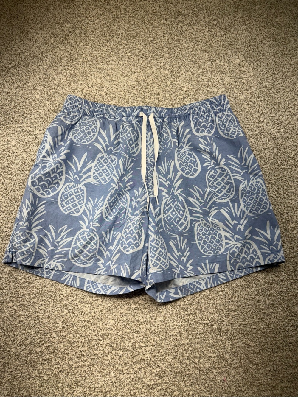 Men's Chubbies Pineapple Blue‎ White Lined The Thigh-Napples 5.5" Inseam Size XL